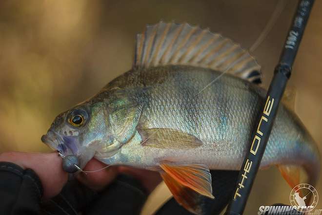 Изображение 1 : Street Fishing, открыли сезон.