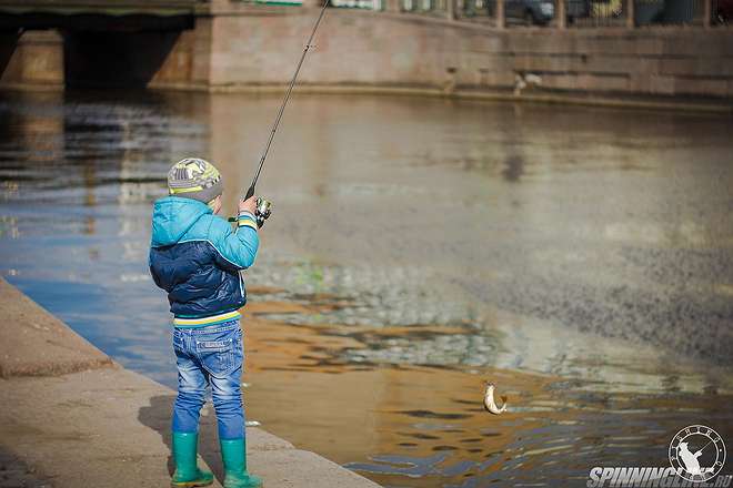 Изображение 1 : В поисках окуня. Street Fishing СПб.