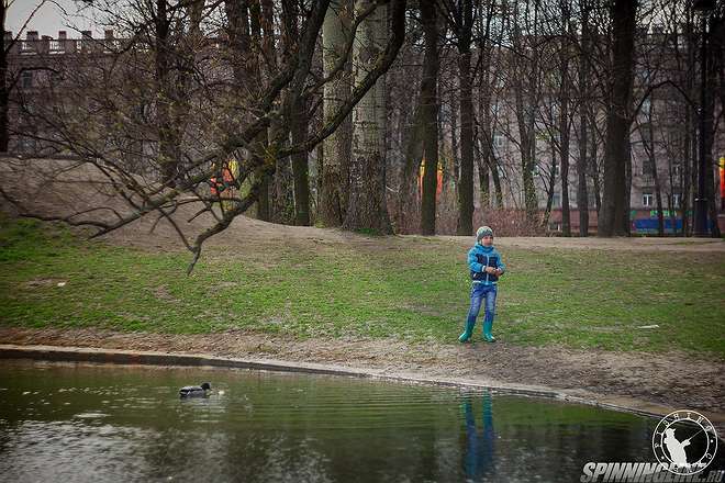 Изображение 1 : Охота на чужих. 